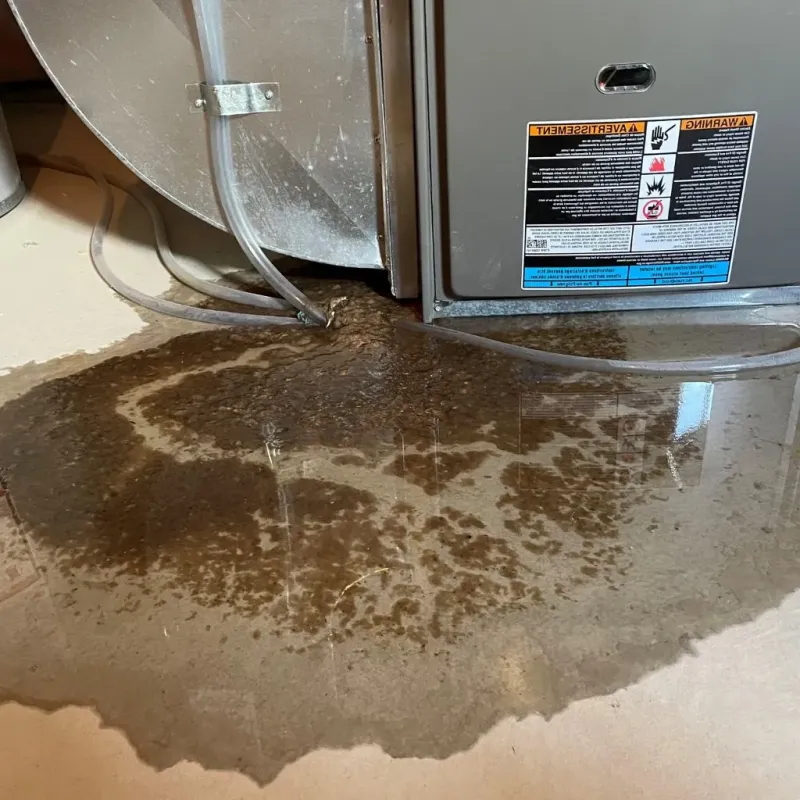 Pipe Burst and Leak Restoration in Cedar Bluff, AL