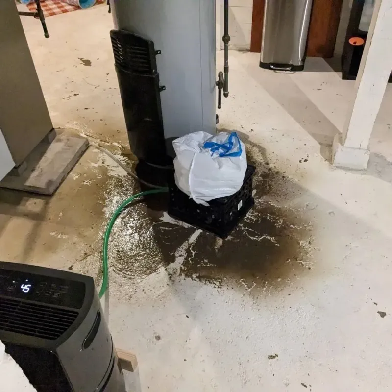 Sewage Backup Cleanup Service in Cedar Bluff, AL